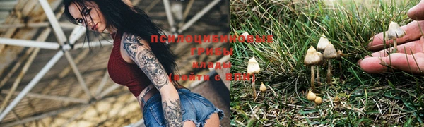 метадон Абинск